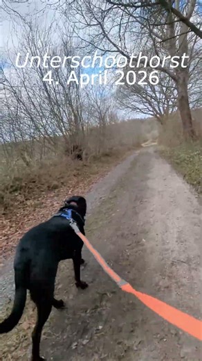 Runde um den Aschberg 🐶 auf dem E1 + E6 🥾 #shorts