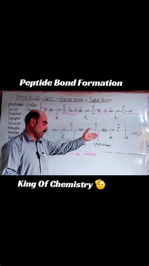 Peptide Bond Formation Explained in SSS Chemistry