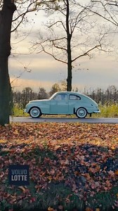 1.2K reactions · 33 shares | For sale: Volvo PV444 - 1957 Je kunt deze volvo ook voor een dagje huren voor bijvoorbeeld je trouwdag of een jubileum of gewoon eens een keer een weekendje ervaren wat het is om er zelf een te bezitten. Meer info? Doe ons een Dm of check de link in onze BIO #makingmemories #volvopv444 #pistache | Volvo Lotte | Facebook