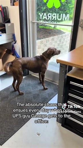 We also act like this when we see our best pawtners.