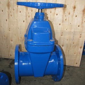 [Hot Item] DIN F4 Popular Cast Iron Gate Valve
