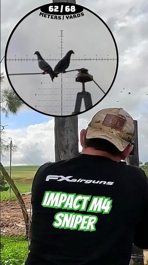 He is an Impact M4 Sniper | FX Impact M4 | Ultimate Air Guns | Long-Range Hunting #fxairguns