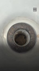 97K views · 241 reactions | Chemical Kim found a Demogorgon—uh, Cuban tree frog—in her sink and paid homage to 'Stranger Things.' It's just a TV show...right?  | NowThis | Facebook