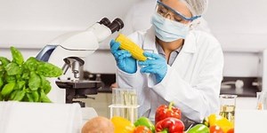 Sécurité alimentaire : l’Exécutif renforce la protection des consommateurs