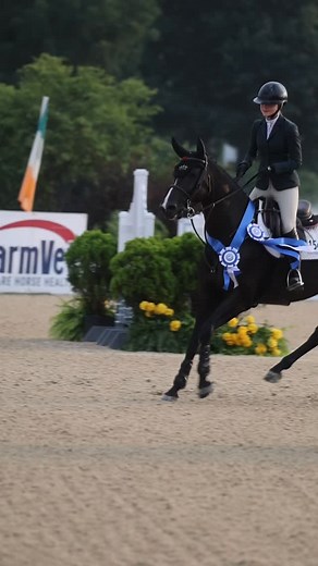 Counting down the days until that first victory gallop moment at the Kentucky Summer Horse Shows ✨ #KentuckySummerHorseShows #KHS2025 #VictoryGallop #ShowJumping #PonyDerby #HorseShowSeason | Kentucky Horse Shows, LLC