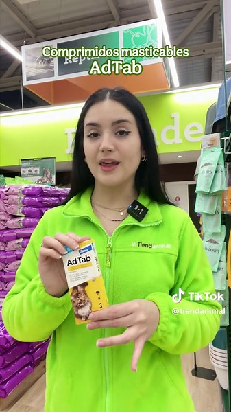 Tipos de antiparasitarios para gatitos: guía completa