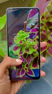 4.4K views · 239 reactions | Vivo Y100 Review李 Address video - https://youtu.be/eX5LD3rYZvk Friday 10:30am–9pm Saturday 10:30am–9pm Sunday 10:30am–9pm Monday 10:30am–9pm Tuesday 10:30am–9pm Wednesday 10:30am–9pm Thursday Close Mobile No - 6290561903// 8017999888 Calling Time (10:30 am - 09:00 pm) ----------------------------------------------- | MobiXpress | Facebook