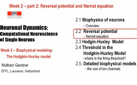 [YouTube搬运] reversal potential-什么是反转电位