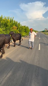 masti hai to hasti hai 🤩#viral #funny #comedy #insta #fufaji #dance | Gopal Singh Solanki