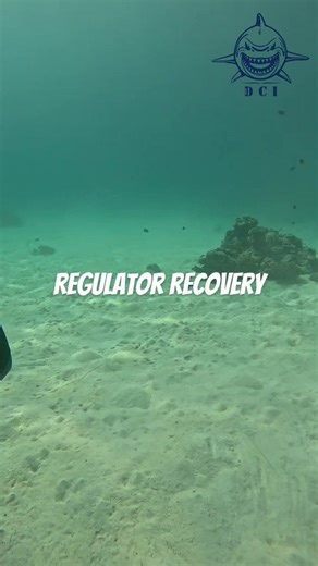 Regulator Recovery Techniques for Scuba Diving