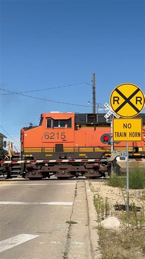 What Happens When Trains Don't Honk?