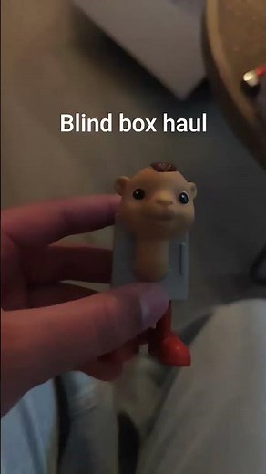 Blind box haul