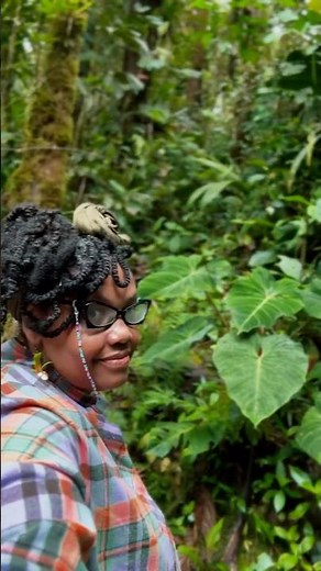 Exploring Ecuador’s Cloud Forests 🇪🇨