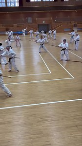 8.5K views · 197 reactions | This is a group Kobudo training session...