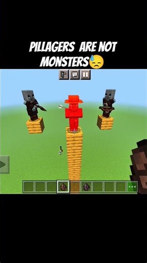 Minecraft's most misunderstood mob#shrots #minecraft #pillagers