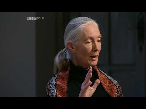 BBC经典纪录片：【自私的基因】理查德·道金斯 x 大卫·爱登堡（1986年）BBC Horizon: The Selfish Gene - Nice Guys Finish First (1986)