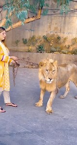 Wow!! 😳 Female 💪 in Pakistan 🇵🇰 | Deaf Storys