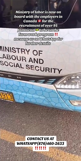 Jamaican Farm Work Program Recruitment in Canada