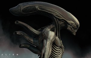 ROMULUS Xenomorph Concept , Jerad S. Marantz