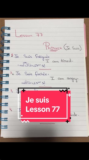 Lesson 77 #fyp #viral #100k #france #french