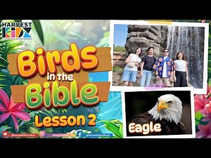 Birds In The Bible Lesson 2: Eagle