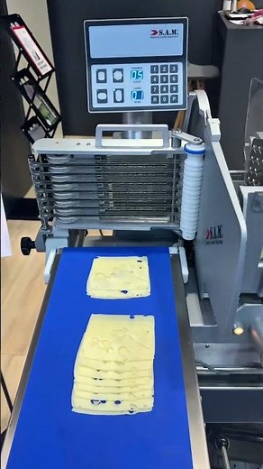S.A.M. 308iB automatic slicer for meat and cheese