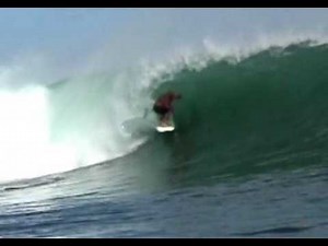 Fat Surfer - Jimbo Pellegrine
