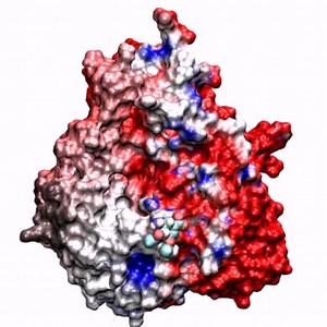 File:Molecular-Dynamics-Simulations-Suggest-that-Electrostatic-Funnel-Directs-Binding-of-Tamiflu-to-pcbi.1000939.s018.ogv - Wikimedia Commons