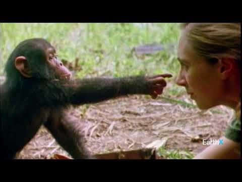 EarthX is Going WILD | Official Trailer | EarthX