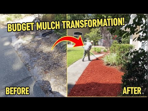 🌿 Budget Mulch Job Transformation | Relaxing Landscaping