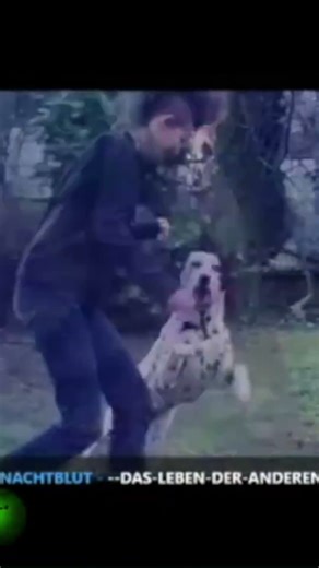 Distorted Reality: Social Media's Masked Truth Revealed #shorts