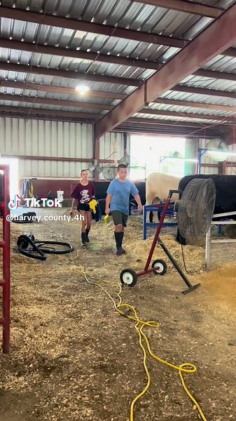 4-H is more than just a program.♥️ #4H #FFA #livestock #livestockshows #farmtok #farm #ranch