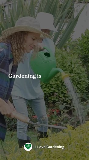 Gardening isn't just about plants—it's where I reconnect with myself. 🌱 Each moment spent in the garden brings peace to my mind and joy to my heart. 🌸 Whether it’s digging into the soil or simply tending to your plants, it’s the simple act of nurturing that brings pure happiness. 💚 #GardeningJoy #PeaceInNature #SoulfulGardening | I love Gardening