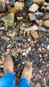 6M views · 160K reactions | Stone Age survival  #bushcraftknife #novembersouth | November South | Facebook