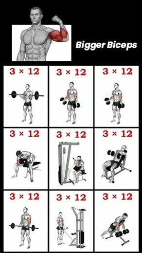 Build Bigger Biceps With This Complete Routine #armsworkout #gymtips #bigger