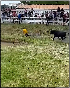 483K views · 2.6K reactions | Up close and personal with nature  | Young Mummas | Facebook