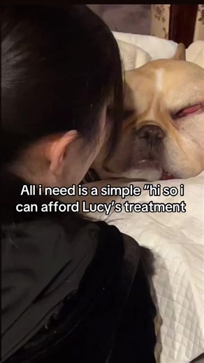 Support Lucy's Treatment with a Simple Hi!
