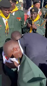 13K views · 857 reactions | Don’t they just brighten up your day....