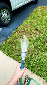 Identify plants & diseases 🔎 Get customized care plans💚 Learn how to water and fertilize your plants👩‍🌾 Connect with plant enthusiasts🌿 | PlantIn AI: Never Kill Your Plants