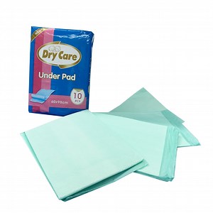 [Hot Item] Factory Free Sample Adult Blue Disposable Incontinence Underpad