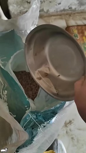 شبكة الصين (@chinanetwork)’s videos with original sound - شبكة الصين