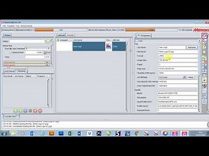 Using the properties tab in Mimaki Rasterlink 6