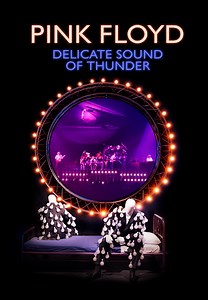 Pink Floyd: Delicate Sound Of Thunder