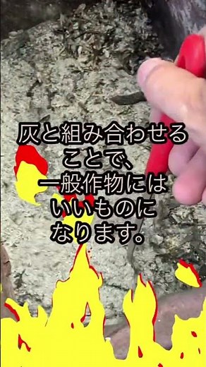 ヨモギとヤブツルアズキで、野菜が植えられない場所を埋める。有効利用できる、在来種雑草を活用します。