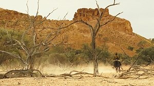 The Proposition 2005