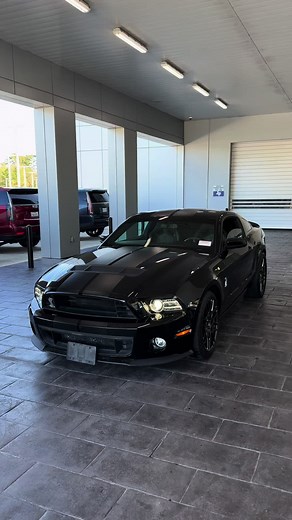 2014 Ford Mustang Shelby GT500 For Sale - $56,998