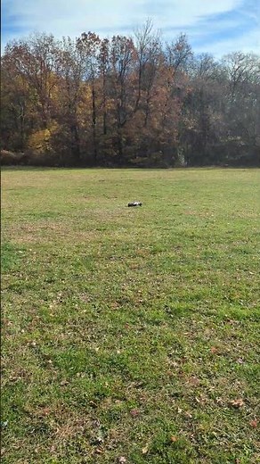 #Shorts Traxxas rustler speed run