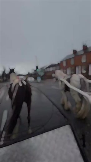 James Eric Mason (@jamesericmason)’s videos with original sound - MommyAngel Shop