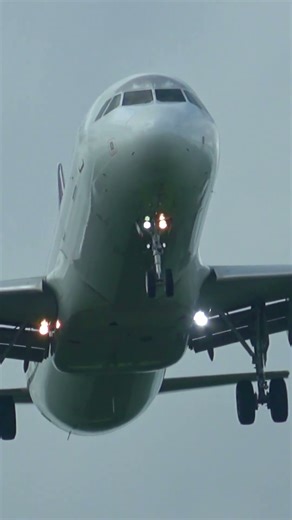 フィリピン航空のA321(RP-C9912)成田空港着陸前#planespotting #a321