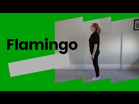 Home Exercise: Flamingo